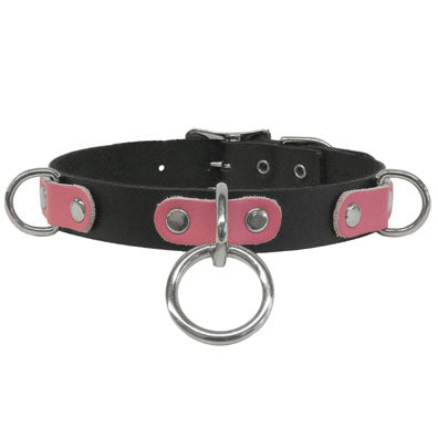 2 D-Rings And A Halter Ring Collar