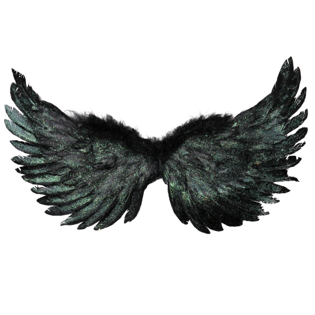Dark Angel Wings