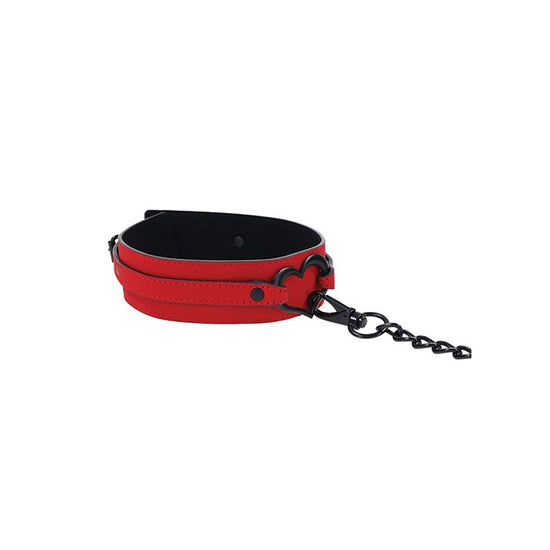 S & M Amor Collar & Leash