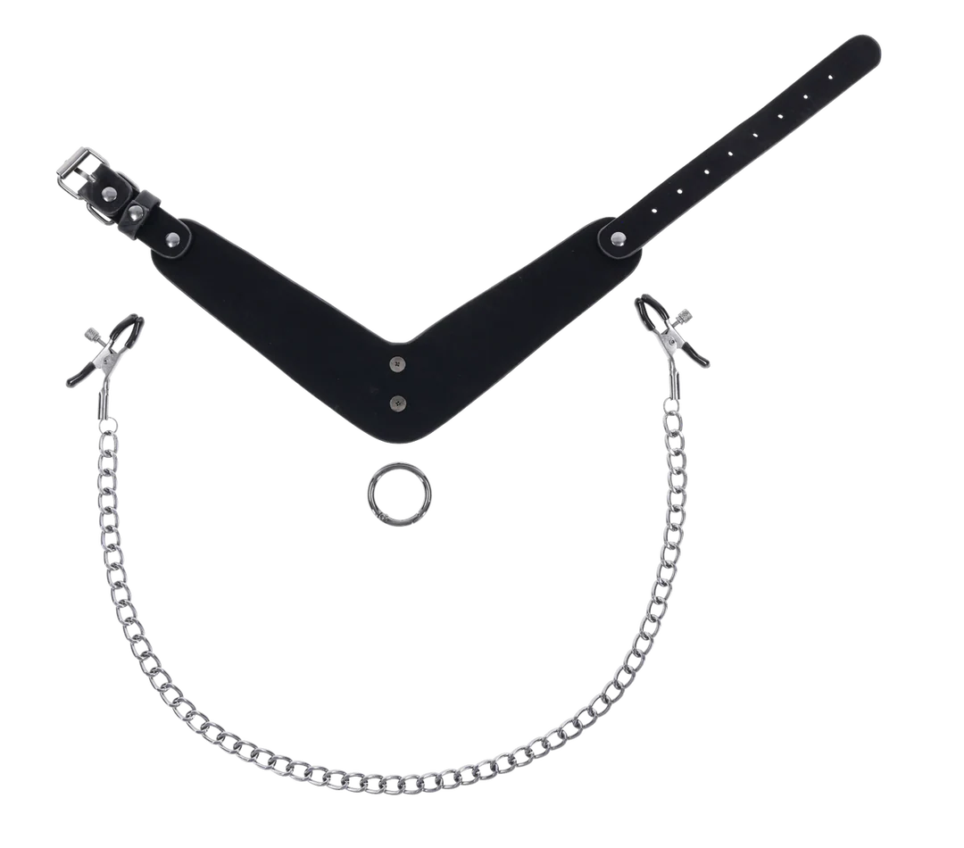 Velvet Noir Collar & Removable Clamps
