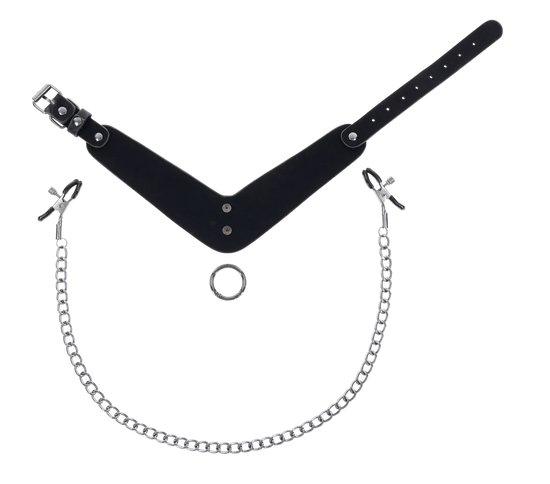 Velvet Noir Collar & Removable Clamps