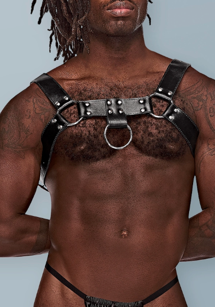 Aries Leather Chest Harness