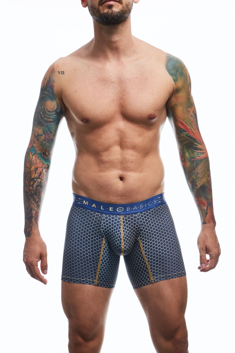 Andalusia Hipster Boxer Briefs