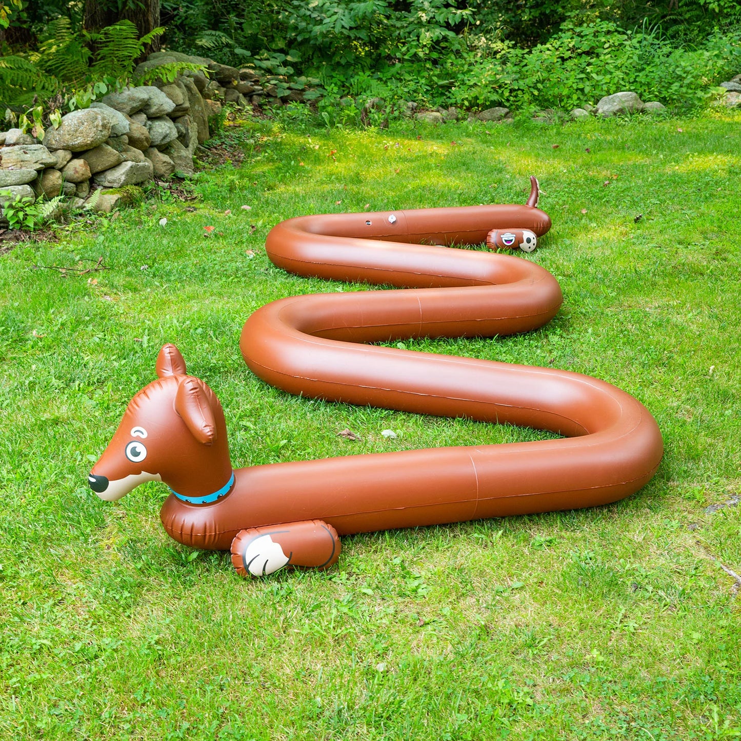 The Long Dog Sprinkler