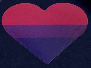 LGBTQ+ Pride Sticker - Asst Styles