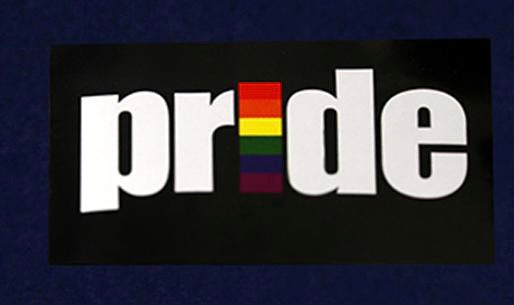 LGBTQ+ Pride Sticker - Asst Styles