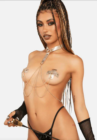 Load image into Gallery viewer, Golden Goddess Harness X Pasties
