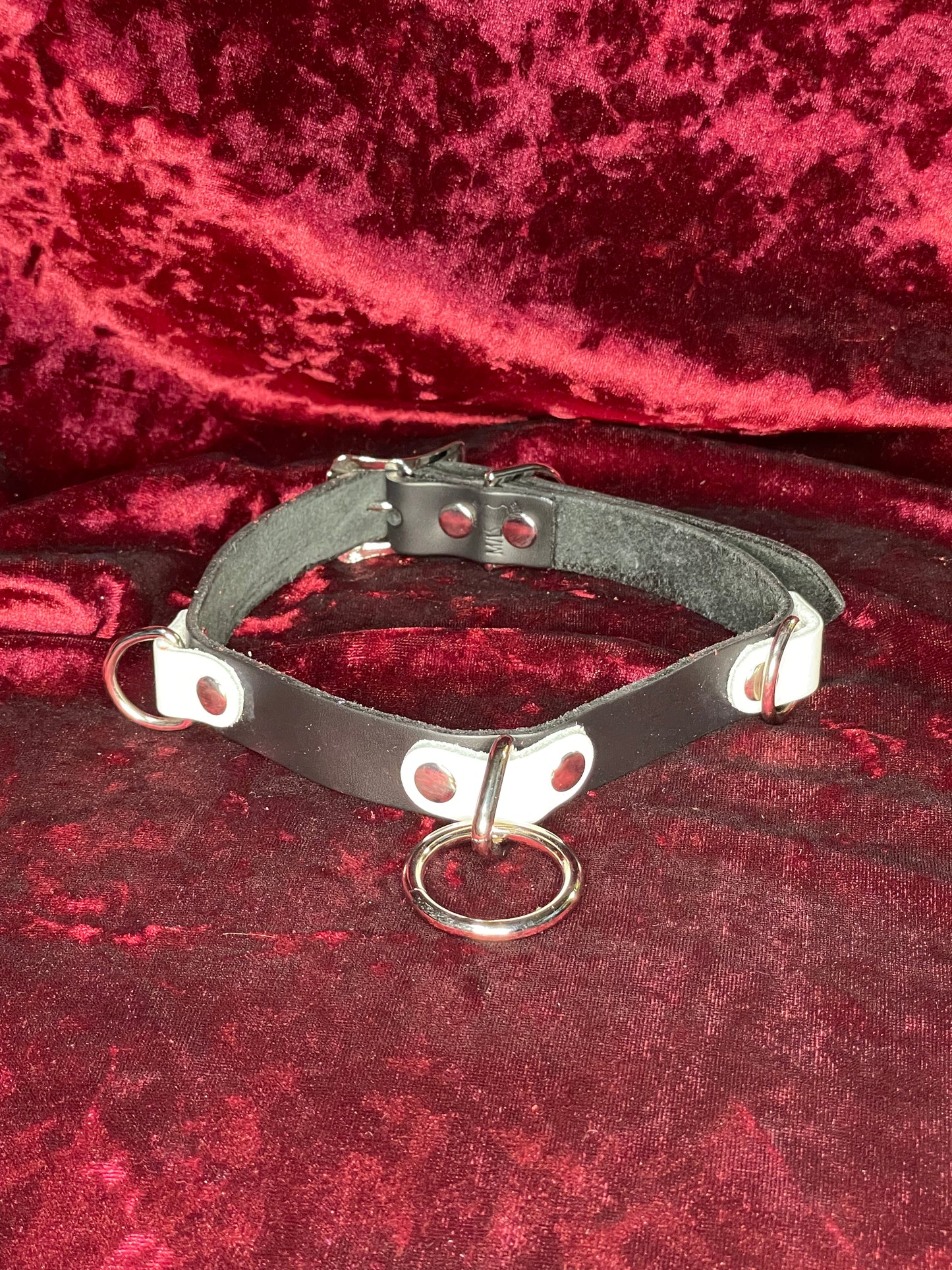 2 D-Rings And A Halter Ring Collar