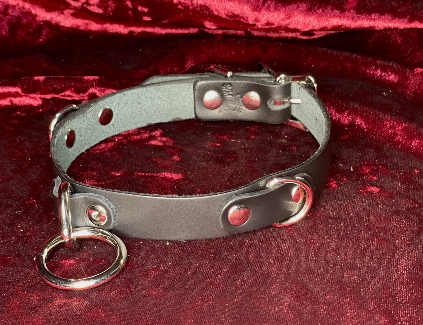 2 D-Rings And A Halter Ring Collar